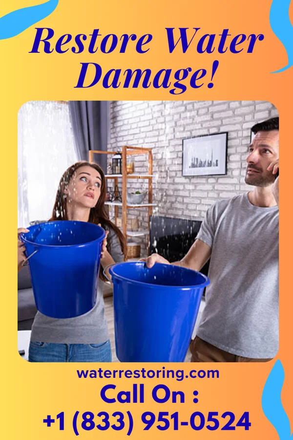 water restoration National Water Mitigation Experts Oceanville